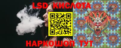 бошки Дубна