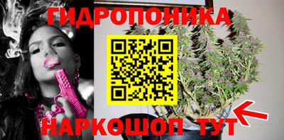 бошки Дубна