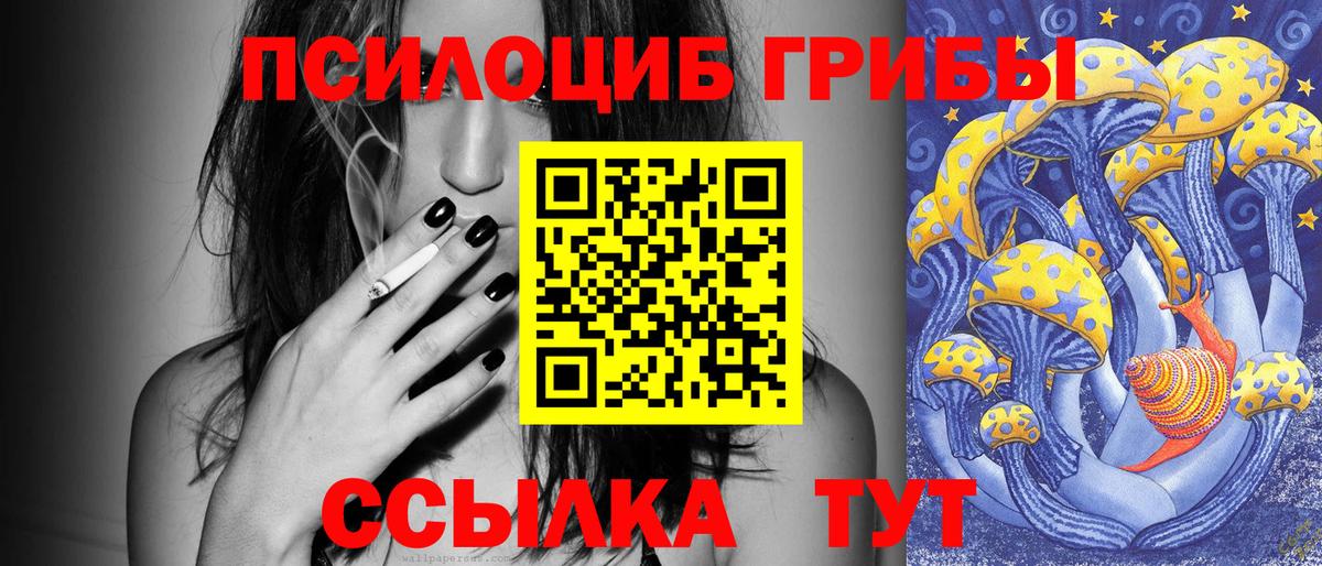 Галлюциногенные грибы Psilocybine cubensis  Вход с VPN  Ливны 